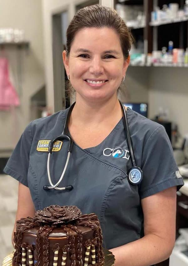 A smiling veterinarian in medical scrubs with a stethoscope around her neck holds a chocolate cake with decorative ribbons in a clinic or office setting.