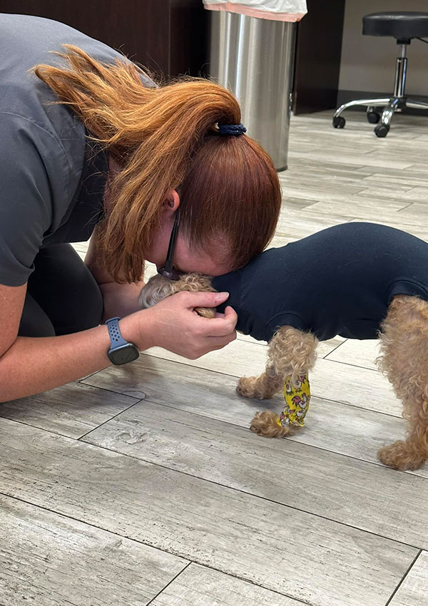 A woman with red hair kneels on a tiled floor in a veterinary clinic, gently comforting a small dog wearing a black outfit and a yellow bandage as the veterinarian prepares for treatment.