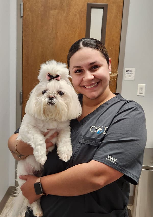 A smiling veterinarian in scrubs holds a small white dog with a pink bow on its head, standing in a veterinary clinic room.