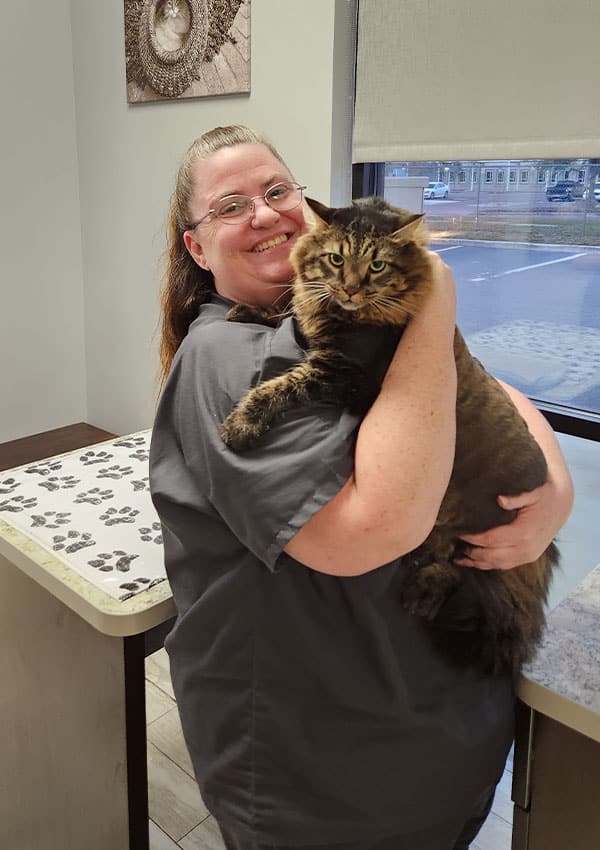 A veterinarian in gray scrubs smiles while hugging a large, fluffy tabby cat in a veterinary clinic exam room decorated with paw prints.