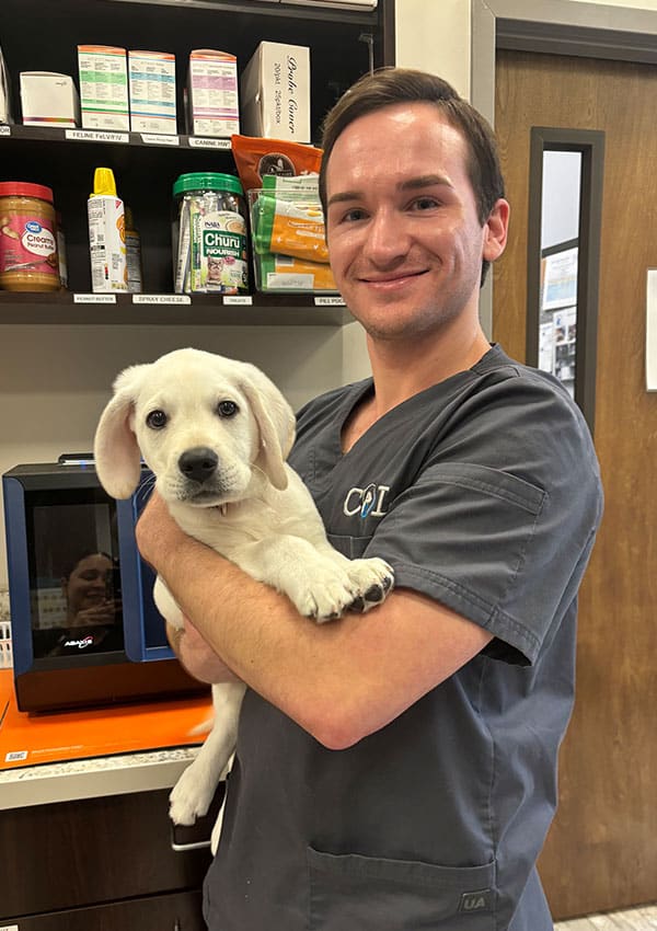 A smiling veterinarian in gray scrubs holds a small white puppy in a veterinary clinic, with shelves of pet supplies and medication visible in the background.
