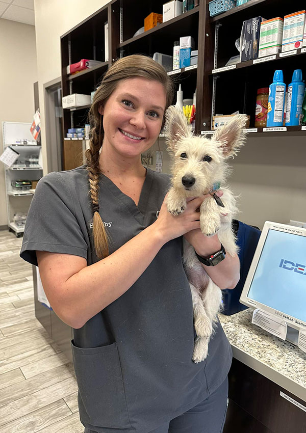 A smiling veterinarian in gray scrubs holds a small, white dog with large ears inside a veterinary clinic, surrounded by shelves of pet supplies and medications.