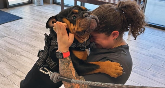 A person hugs a large black and brown bulldog wearing a harness, smiling with their face pressed against the dog's head. The affectionate moment takes place indoors on a light wood floor, possibly during a visit to the vet.