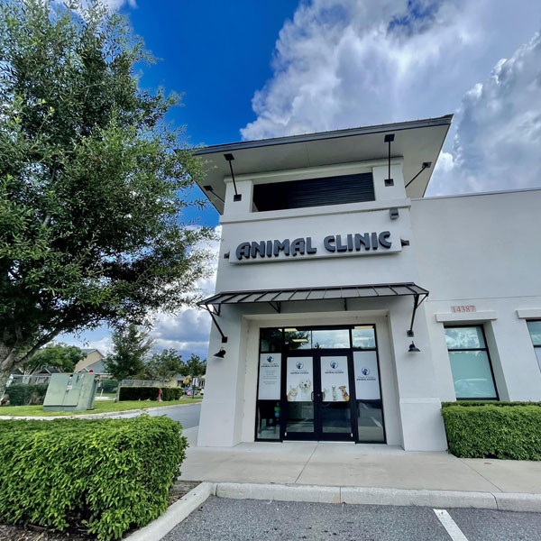 A white building with a sign reading "Animal Clinic" above the entrance, this veterinarian's office is surrounded by green bushes and a tree, under a partly cloudy blue sky.